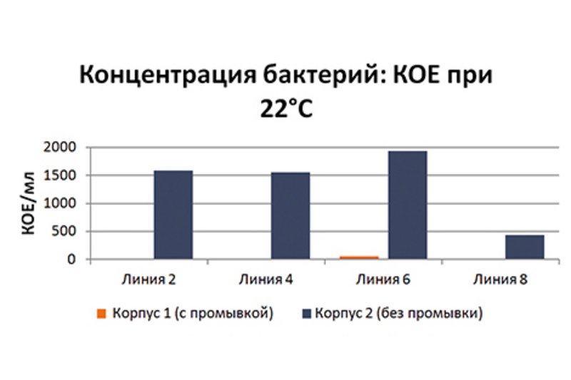 Содержание птицы: "внутренняя суть" биопленки Содержание птицы: "внутренняя суть" биопленки