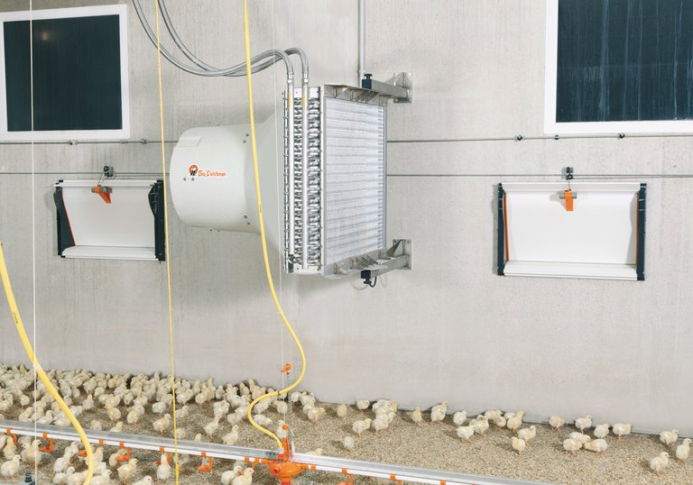 Températures optimales dans le bâtiment avicole avec HeatMaster 
