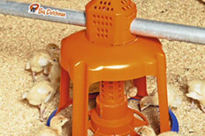 Наплыв посетителей в связи с открытием двух новых птичников