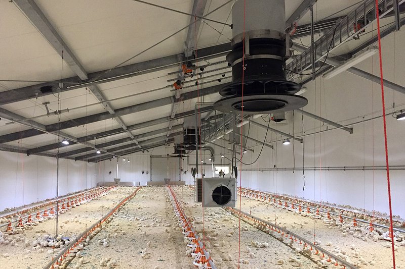 Equipment for an ideal climate in the poultry house 