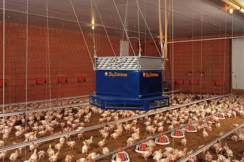 Новый птичник с современной техникой от Big Dutchman Новый птичник с современной техникой от Big Dutchman