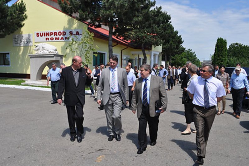 Содержание 2600 свиноматок в замкнутой системе 