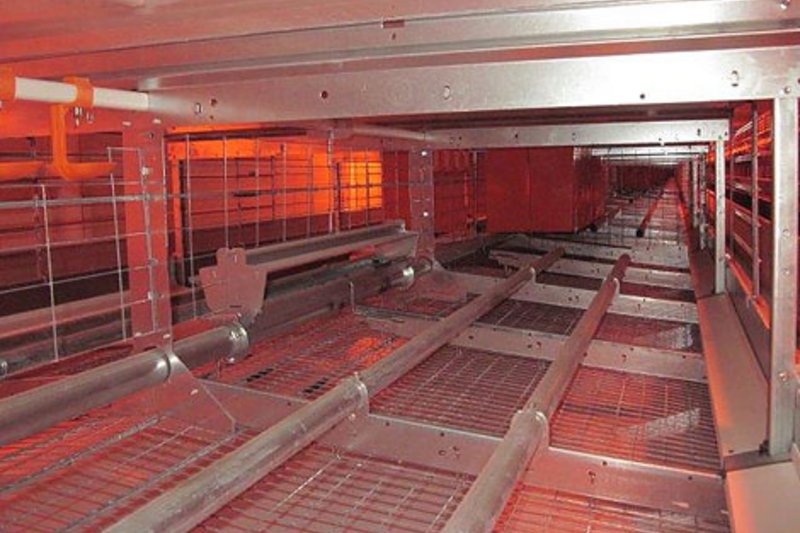 Efficient poultry equipment for housing layers in colonies