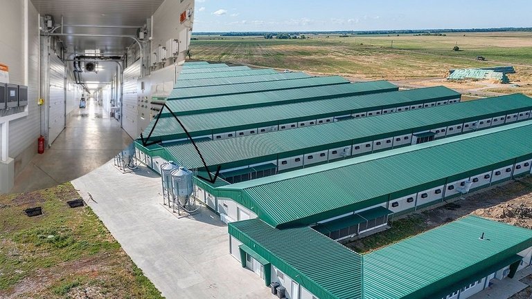 Вид сверху с фрагментом вида внутри