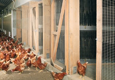 Очиститель отработанного воздуха с пылевыми фильтрами StuffNix 