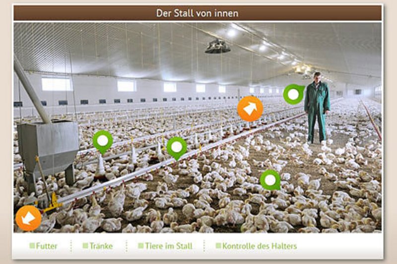  Geflügelwirtschaft öffnet Türen zum interaktiven Stallrundgang