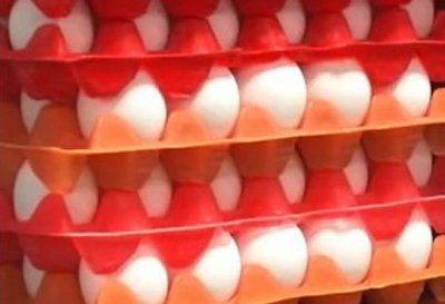 Global Foods eggs