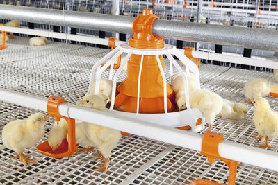 Кормушка Fluxx для откорма бройлеров Кормушка Fluxx для откорма бройлеров