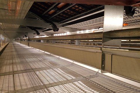 Трубчатая светодиодная лампа FlexLED 2 канала