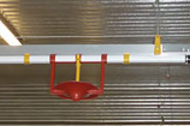 Наплыв посетителей в связи с открытием двух новых птичников