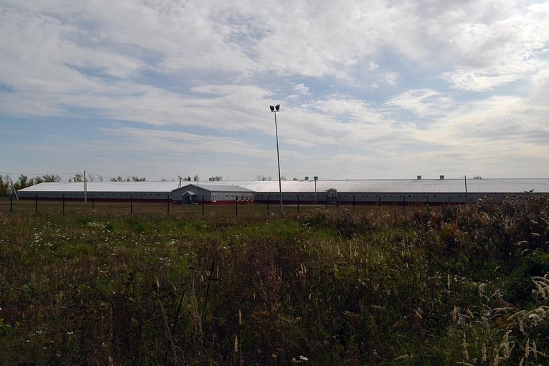 Снимок: площадка репродуктор Снимок: площадка репродуктор