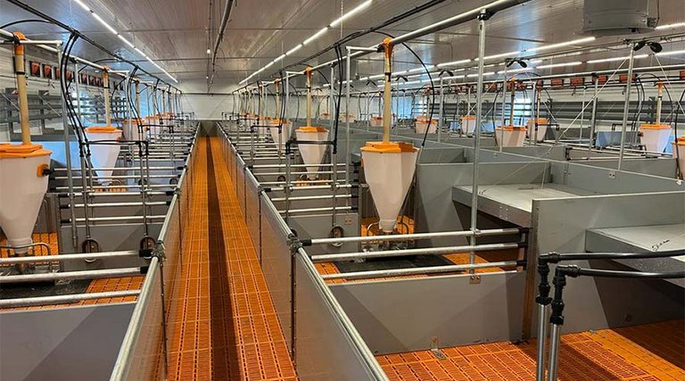 Вид на секцию с оборудованием для доращивания поросят