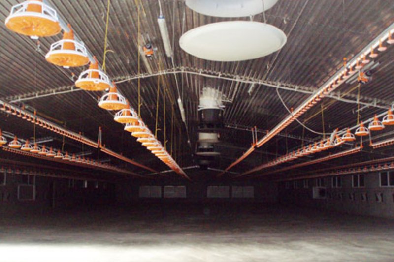 Открытие шести птичников на 324.000 голов