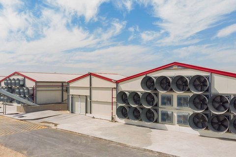 Стенные вентиляторы