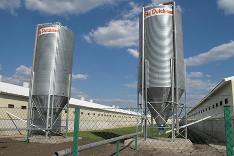 Современные технологии для свиноводства