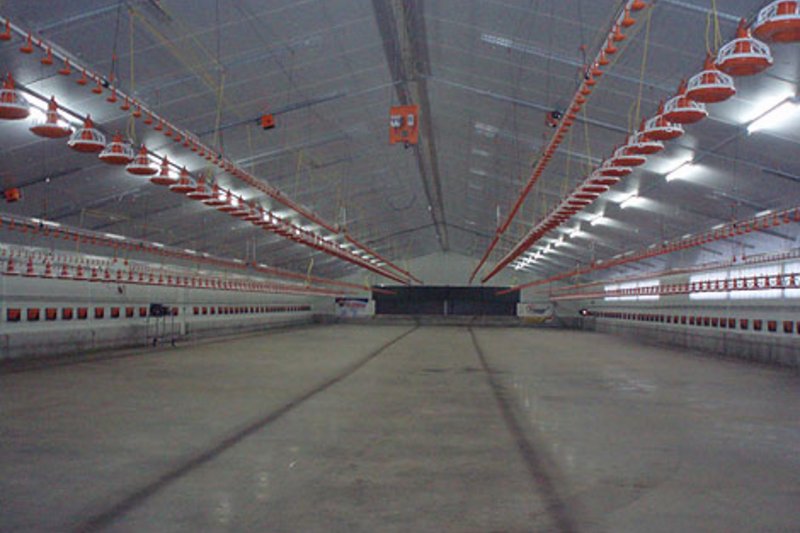 Завершилось торжественное открытие птицефермы для откорма петушков Завершилось торжественное открытие птицефермы для откорма петушков