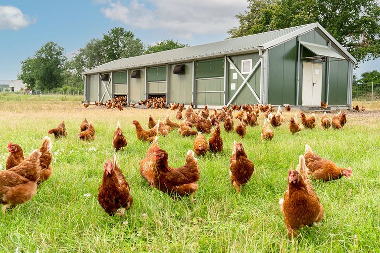 [Translate to Russian:] 