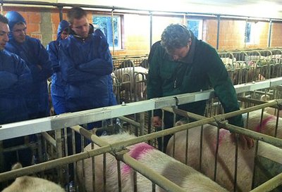 Schweinehaltung: Studenten lassen sich das Rauscheanalysesystem PigWatch erläutern