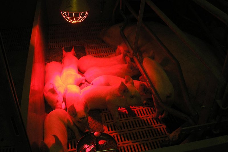 Зона опороса Зона опороса