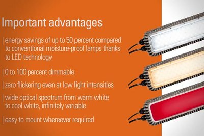 Advertisment: advantages of poultry house lighting with ZEUS 