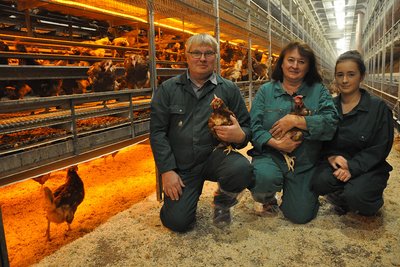 Ehepaar und Tochter knieend im Stallgang mit Hühnern