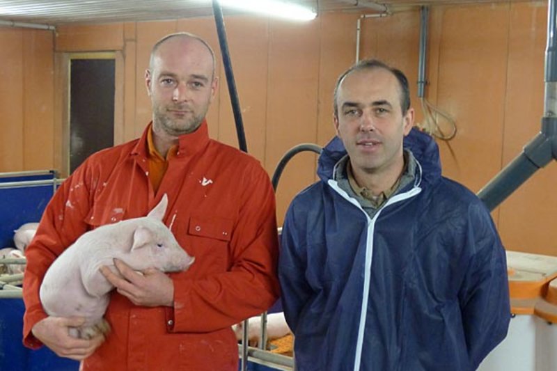 Xavier Berthou i Sébastien Cueff w odchowalni prosiąt