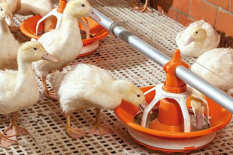 Пластмассовая напольная решетка BD