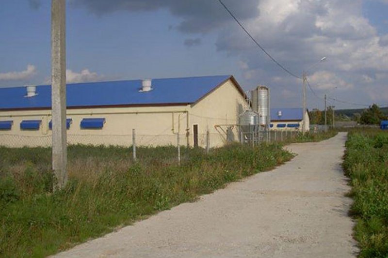 Современны свиноводческий комплекс по производству свинины в ООО «КФХ «Харчевников»