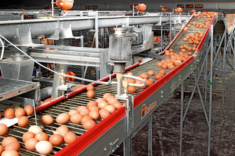 [Translate to Russian:] 