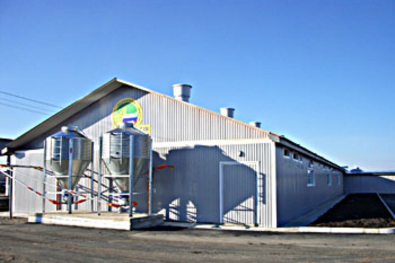 BD оснащает оборудованием небольшие свинофермы BD оснащает оборудованием небольшие свинофермы