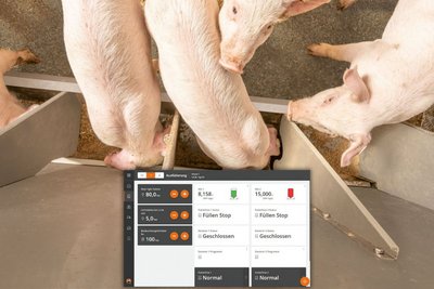 Фото компьютера в свиноводческом помещении 