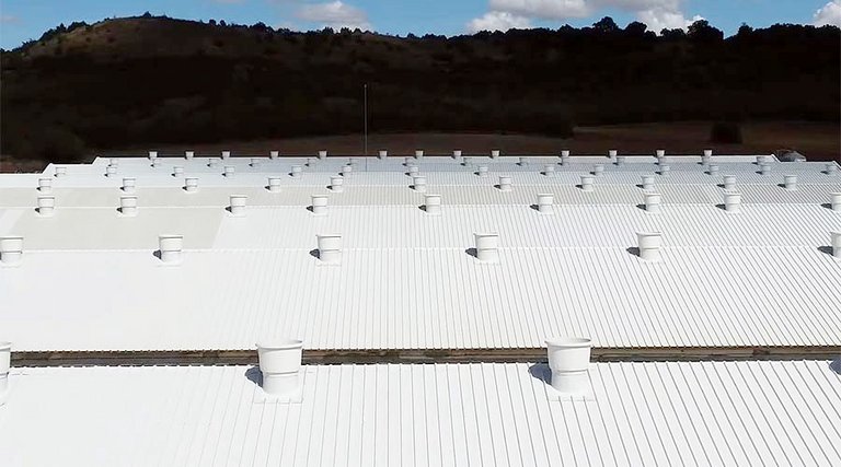 «Море крыш»