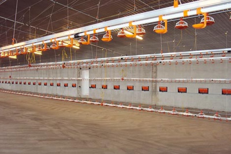 Новый птичник с современной техникой от Big Dutchman Новый птичник с современной техникой от Big Dutchman