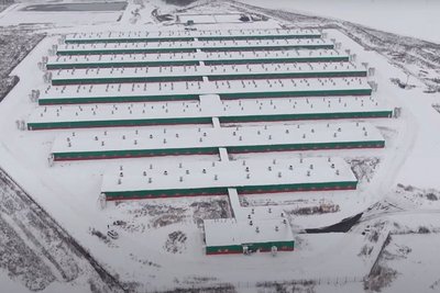 Новосибирск: Свинокомплекс повышает производственные мощности в 1,5 раза  