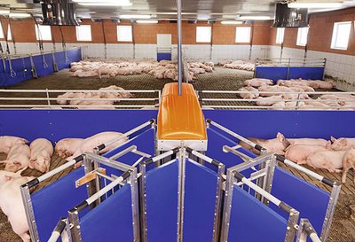 TriSortpro – непрерывный контроль веса и менее трудоемкая селекция TriSortpro – непрерывный контроль веса и менее трудоемкая селекция