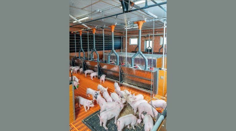 Корпус изнутри Корпус изнутри