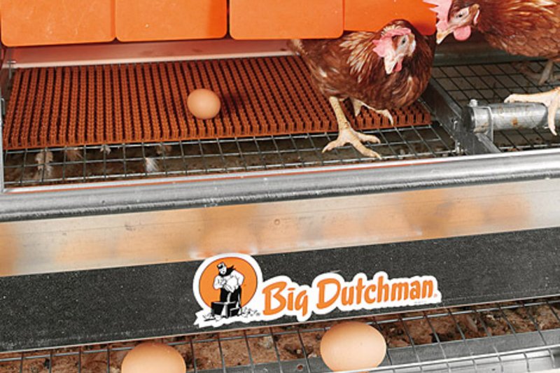 Sukces firmy Big Dutchman na targach SPACE 2009