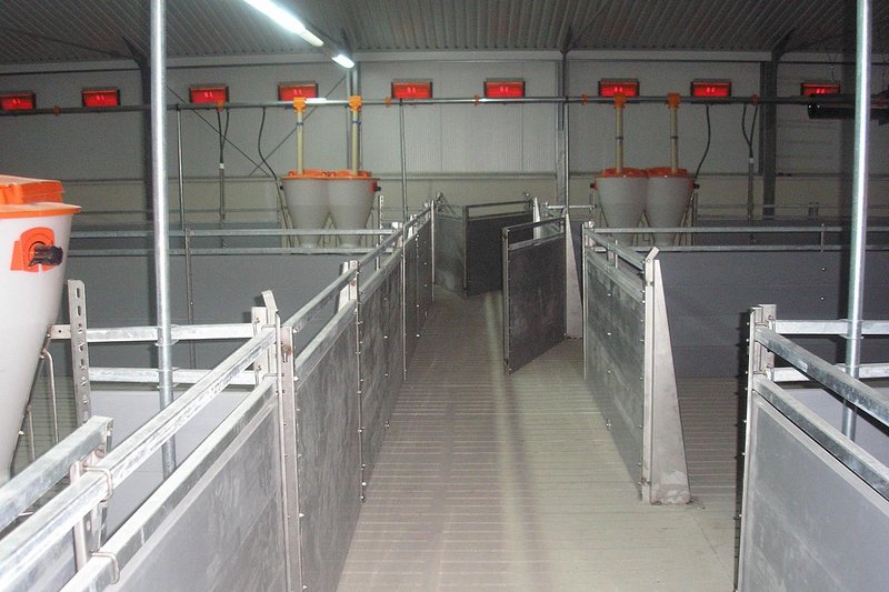 Кормовые автоматы типа PigNic. Ковылкинский район Кормовые автоматы типа PigNic. Ковылкинский район