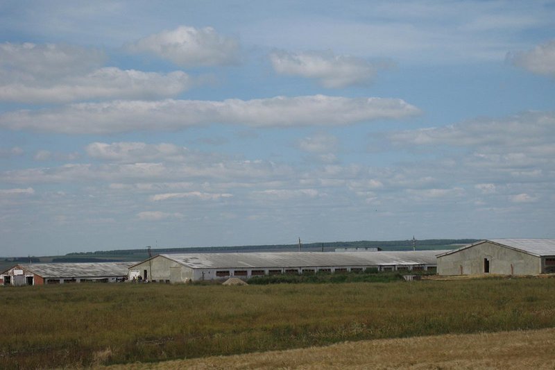 Снимок: Площадка откорма до реконструкции Снимок: Площадка откорма до реконструкции