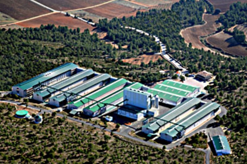 Испания: новое помещение на 150000 несушек Испания: новое помещение на 150000 несушек