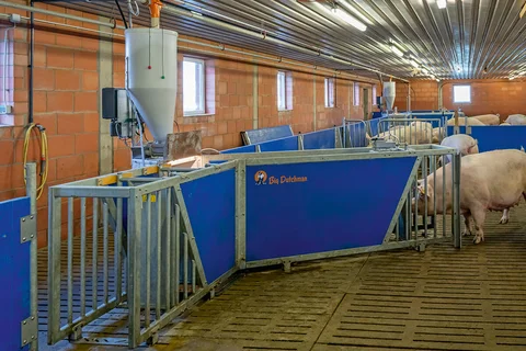 CallMatic 3 pro eletronic sow feeding system