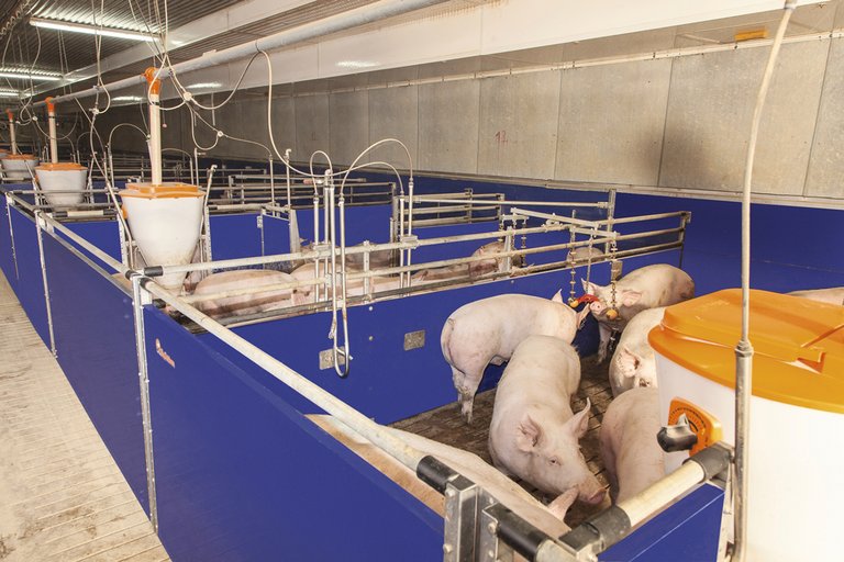 Пластмассовый профиль