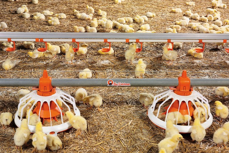 Кормушка FLUXX для бройлеров 