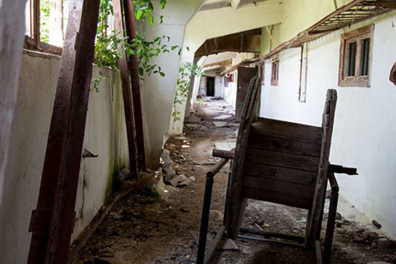 Современное станочное и кормораздаточное оборудование  для "Красивой хрюшки"