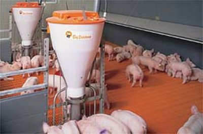 Neuer Prospekt über Futterautomaten für Schweine