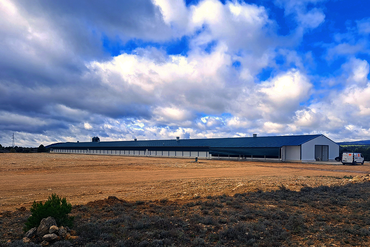 Broiler Production With CombiTunnel Ventilation Ideal House Climate 