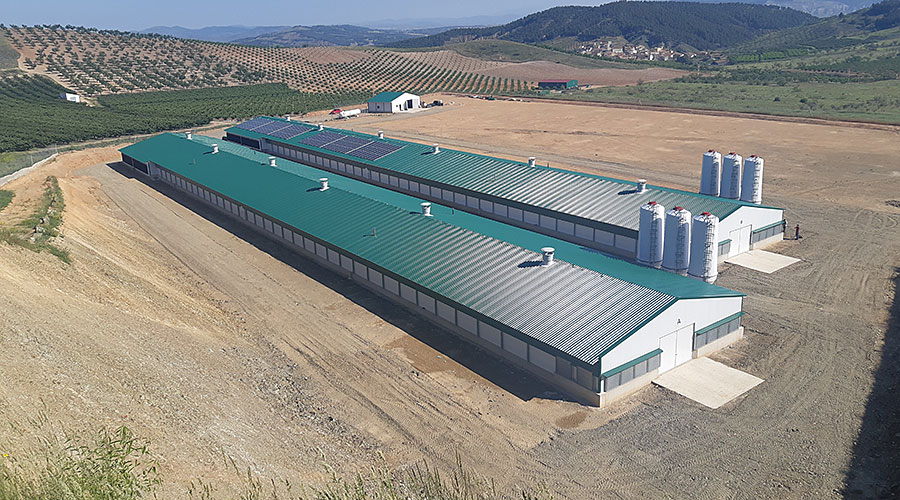 Building for broiler production with PV system